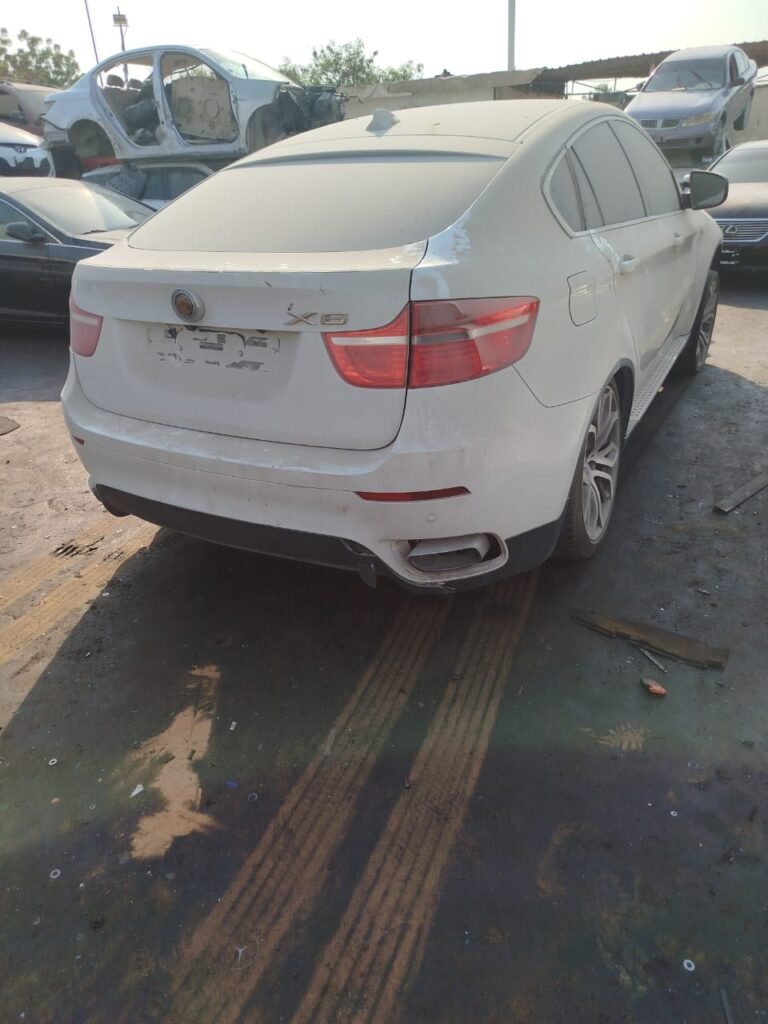 WhatsApp Image 2026-08-12 at 7.35.43 PM (1)