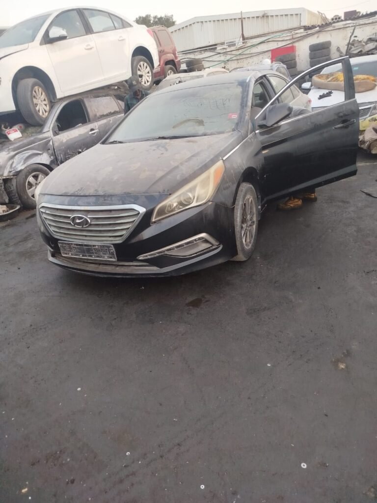 WhatsApp Image 2026-08-12 at 7.35.45 PM